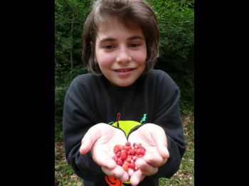 Bianca Elena BUTIUC